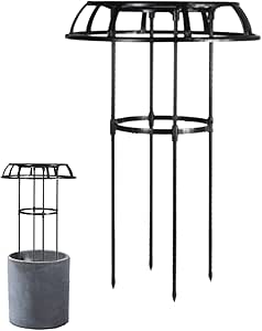 Raspberry Trellis - Trellis for Climbing Plants | Climbing Rose Grid ...