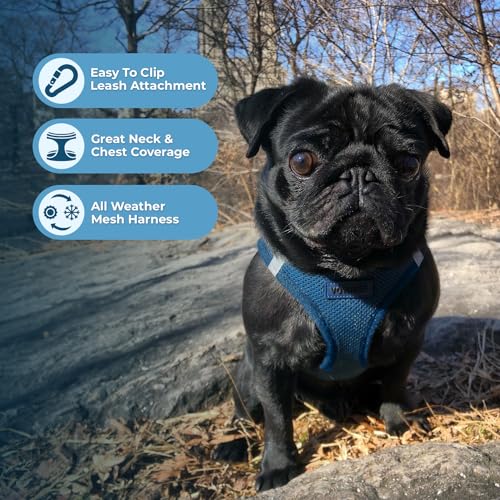 Image of Voyager Step-in Air All Weather Mesh Harness and Reflective Dog 5 ft Leash Combo with Neoprene Handle, for Small, Medium and Large Breed Puppies by Best Pet Supplies - Blue (Matching Trim), XXXS