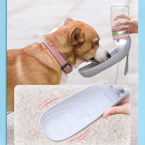 Distributeur d'eau pliable chats chiens pour éviter la déshydratation - 6