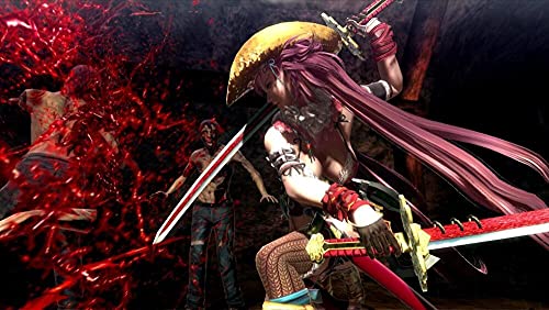 Onechanbara Z2 : chaos