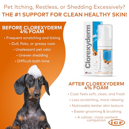 Shampoos für Haustiere Clorexyderm Sol 4% 100 Ml