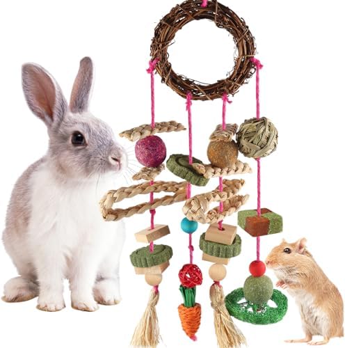 YIXUND Bunny Chew Toys, Rabbit Toys for Teeth Timothy Grass Toys for Guinea Pigs Hamster Chinchillas Rats and Other Rodent Toy Set