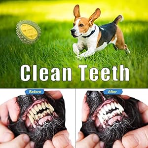 Dog Squeaky Toys Indestructible Tough Durable Dog Toys Dog chew Toys for Medium Large Dogs Aggressive Chewers Stick Toys Puppy Chew Toys with Non-Toxic Natural Rubber (Durian)
