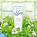 BERGMAN KELLY - Travel Size Lotion - 1 fl oz, 100 PK, White Tea - Delight Your Guests with Invigorating and Refreshing Body Lotion - Quality Mini and Small Size Guest Hotel Toiletries in Bulk