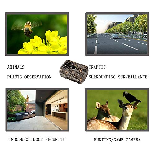 Wildkamera Fotofalle Jagdkamera Trail Wildlife Kamera Spielkameras HD Nachtsicht Jagd Kamera 12MP Digital Trail Kamera… – Bild 6