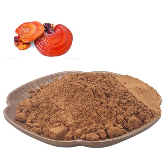 Buy Red Reishi Mushroom Extract Powder 100 Spore shell Extract