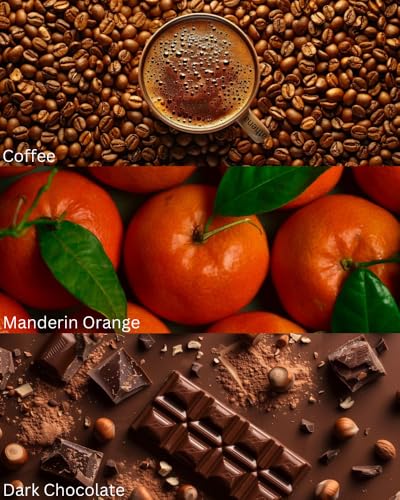 Image of TOXICMALE Black Phantom + C Dream | Perfect Long lasting Men's perfume for party | perfumes for men | Gift for him | TMA36 | 50 ml perfume | TM Perfume House