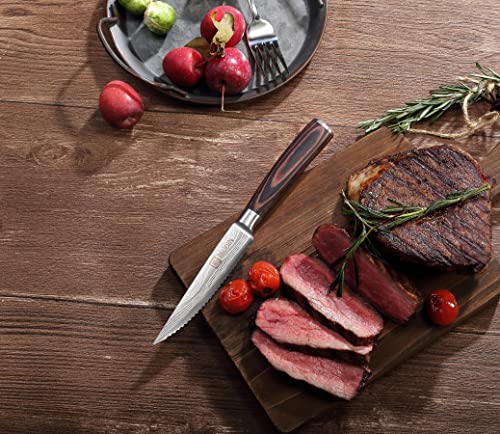 Foto von PAUDIN Steakmesser 6-teilig Set, hochwertige deutsche Edelstahl Steak Messer, ultrascharfe gezackte Klinge und ergonomischer Holzgriff, Tafelmesser mit Geschenkbox