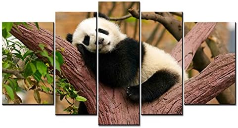 5 Panel Giclee Canvas Panda Sleep On The Tree Pictures Prints On Canvas Paintings for Home Wall Decor Ready to Hang