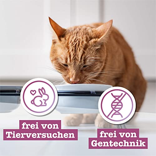 catz finefood Multipack 2, 12 x 85g Beutel, Feinkost Katzenfutter nass, Sorten Mix-Paket 2 mit Huhn, Thunfisch, Rind, Rotbarsch, Lamm, Garnelen, Wild