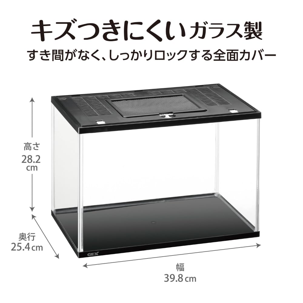 Looking Glass専用ケース付き Looking Glass専用ケース付き