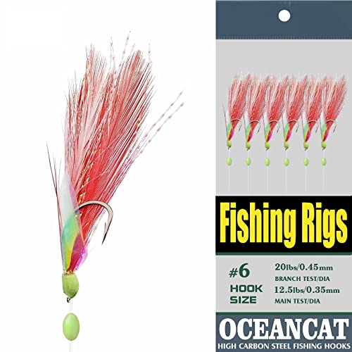 OCEAN CAT 10 Packs Fishing Rigs 2 Red Feather & Rainbow Skin 6 Hooks Saltwater String Hook Fishing Luer Bait Rig Tanckle (2 Feather&Rainbow Skin, 10#-10 Packs)