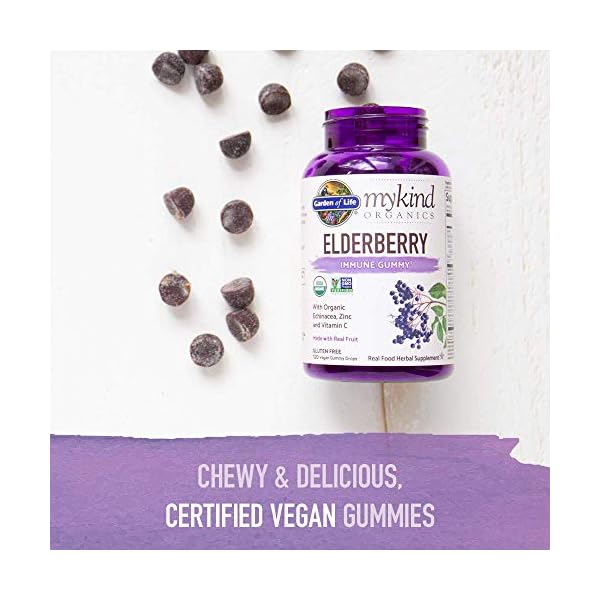 Garden-of-Life-mykind-Organics-Elderberry-Gummies-Immune-Support-Supplement-with-Organic-Fruit-Herbal-Blend-of-Elderberry-Echinacea-Zinc-Vitamin-C-120-Vegan-Non-GMO-Gluten-Free-Gummies Garden of Life Organics Elderberry Gummies for Adults & Kids - Immune Support Supplement with Organic Fruit, Herbal Blend, Elderberry, Echinacea, Zinc, Vitamin C, 120 Vegan Gluten Free Gummies