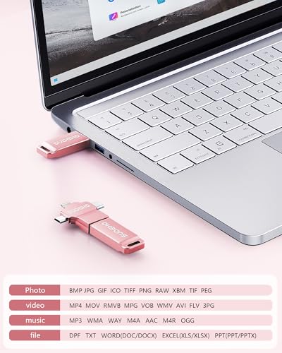 Image of MFi Certified Photo Stick USB Flash Drive for iPhone, 4 in 1 External Memory Thumb Drive for Picture Video Saver and Backup (Rose Pink, 256GB)