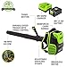 Greenworks 80V (180 MPH / 610 CFM / 75+ Compatible Tools) Cordless Brushless Backpack Blower, 2.5Ah Battery and Rapid Charger Included, Green/Black