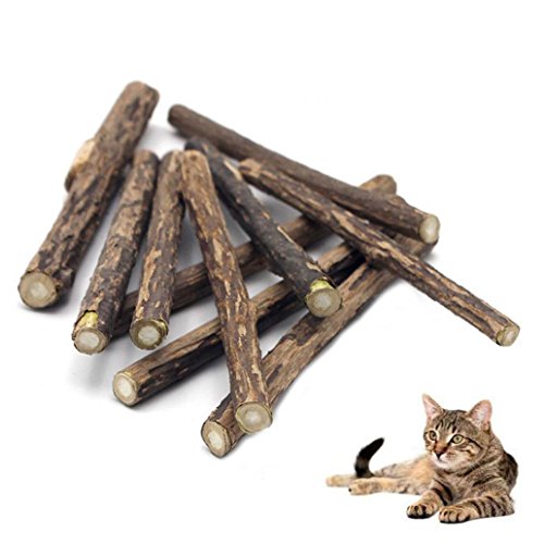 quanjucheer 5 varillas de limpieza de dientes de gato natural para gatos y gatos, 12 cm Cover