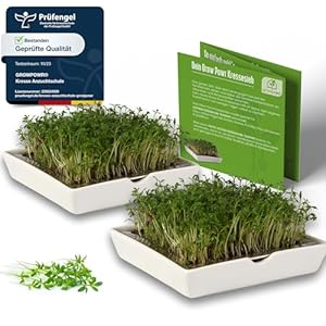 Growpowr 2X Keramik Kresse Anzuchtschalen Set