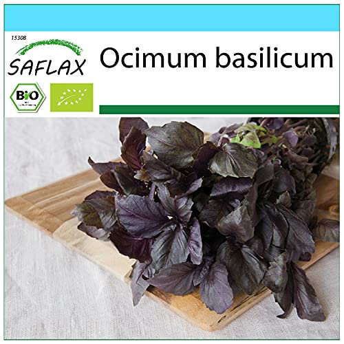 SAFLAX - Gift Set - Organic - Basil Red - 400 Seeds - with Gift Box, Card, Label and Potting Substrate - Ocimum basilicum