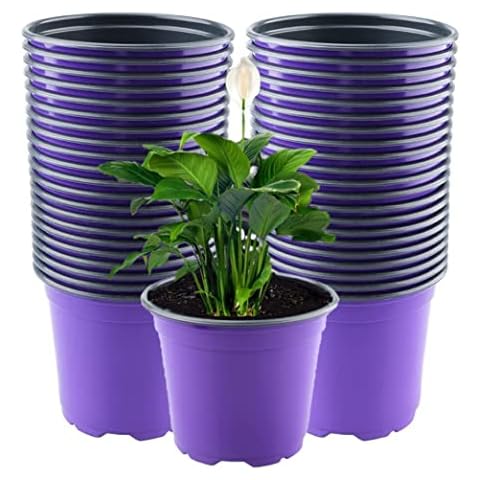 LATERN 50 Pcs Lightweight Plastic Plant Pots Cover