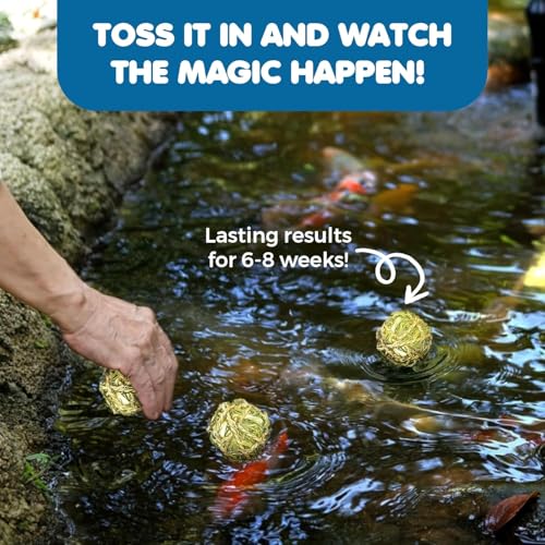 Image of SunGrow Assorted Rabbit & Cat Chew Balls, Teething Activity Toy for Pocket Pets, Improves Dental Health, Environment Friendly, Stress Reliever (Barley Grass Ball, 3 Pcs)