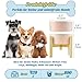 Hundenapf Keramik Futternapf Hund Erhöht - Hundefressnapf mit Rutschfestem Holzständer - Ideal für Kleine und Mittelgroße Hunde - 800 ml - Weiß