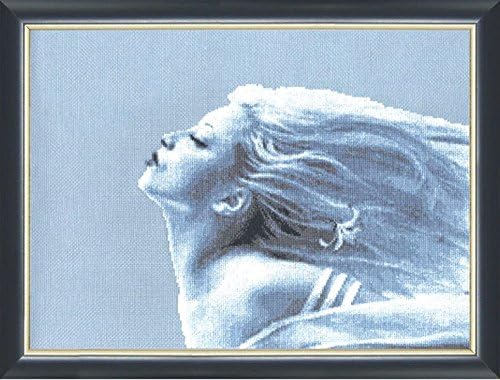 Cross Stitch Kit Wind of changes