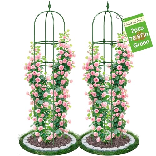 2 Pack Garden Obelisk Trellis for Climbing Plants,...