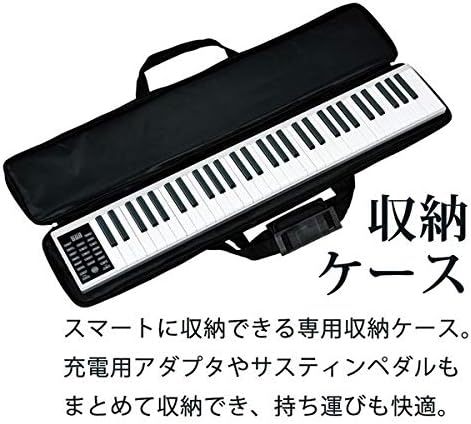 売れ筋 Sunruck 電子キーボード Playtouch Easy プレイタッチ イージー 61鍵盤 コードレス 充電式 収納ケース付 Sr Dp05 21正規激安 Theblindtigerslidell Com