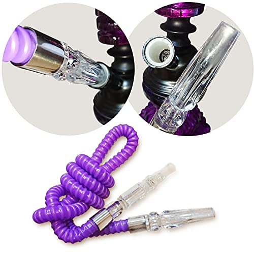 Ulodimi Hookah Set With 2 Hose 11" Premium Portable Mini Hookah Complete Set Hookah Glass Vase #TOP4