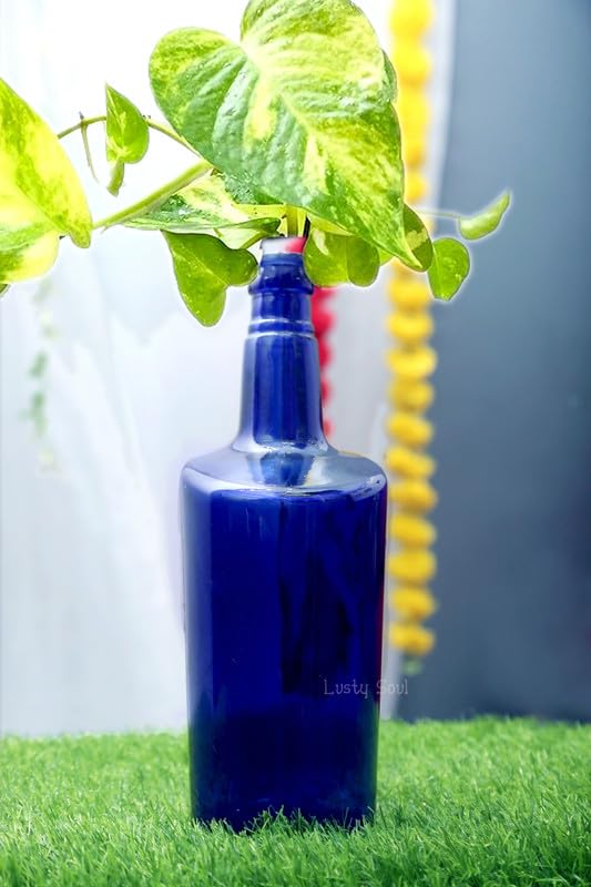 Lusty Soul Decorative Planter Bottle | Flower Vase/Pot for Home Decor, Living Room, Bedroom, Center Table and Office Decoration | Luster Glass Bottle Money Plant Vase (Blue) (B0DFPSBZ4Q) Amazon Price History, Amazon Price Tracker