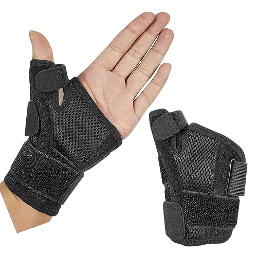 GELAIMAR ewXvg u[Xt ewT|[gu[X p ewX^rCU[ Ep p jp