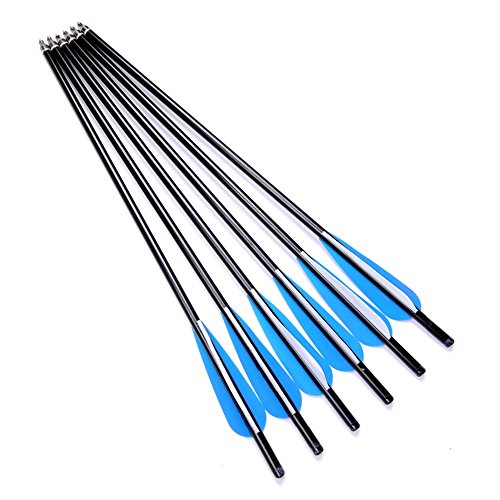 E5E10 20"/22'' Crossbow Bolts Carbon Arrows 8Mm Shaft Half Moon Nocks With Replaceable Screw-In Broadhead For Crossbow Hunting Target Practice Outdoor Gift, 12Pcs (22Inch) #TOP3