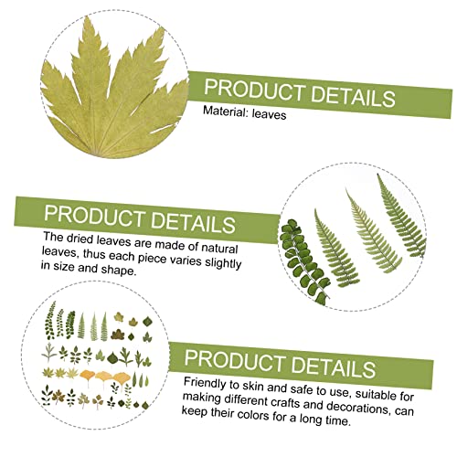 EXCEART 6 Pacotes Florais Prensados ​​Em Vários Materiais Decoração Seca Suprimentos DIY Artesanato