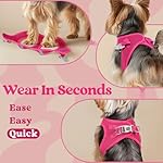 rabbitgoo Small Dog Harness, Step-in Soft Mesh Puppy Vest, Easy Walk with Safety Buckle, Breathable Reflective Pet Harness for Small Sized Dogs, Rose Red M - Image 4