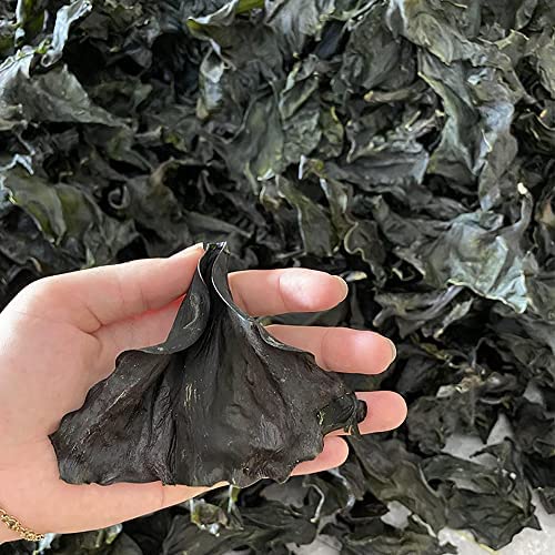 乾燥昆布 Amazon.co.jp: ケルプヘッド ドライシーリーダー ドライケルプ