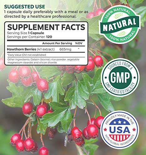 Hawthorn Berry 4:1 Extract (120 Capsules) Supports Healthy Blood Pressure, Circulation, Heart Health & Immune System - Powerful Antioxidant Hawthorne Supplement
