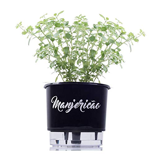 Vaso Plástico Preto Autoirrigável Gourmet Tempero Manjericão