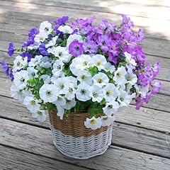 White+purple+gradient Purple