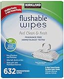 Kirkland Signature Moist Flushable Wipes 632 Count Fast, White