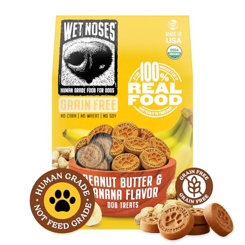 Wet Noses Organic Crunchy Dog Treats Grain Free – All-Natural, Human-Grade, Non-GMO, Healthy Training & Delicious Snacks for Dogs, All Dog Sizes & Breeds – Peanut Butter & Banana, 14oz (Single Pack)