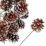 Factory Direct Craft Package of 12 Natural Pinecone Picks With Faux Snow Accents