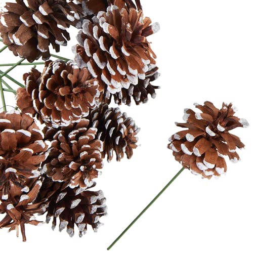 Factory Direct Craft Natural Pinecone Picks with Faux Snow - Accents for Christmas Holiday, Thanksgiving and Fall Decorations (Package of 12)