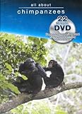 All About Chimpanzees