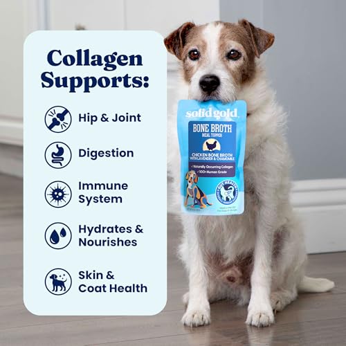 Image of Solid Gold Chicken Bone Broth for Dogs - Limited Ingredient Bone Broth Dog Food Toppers for Picky Eaters with Collagen & Superfoods - Dog Gravy Topper for Dry Food - Gut Health & Hydration - 6 Pack