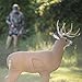 Field Logic Big Shooter Buck 3D Archery Target with Replaceable Insert Core, Brown