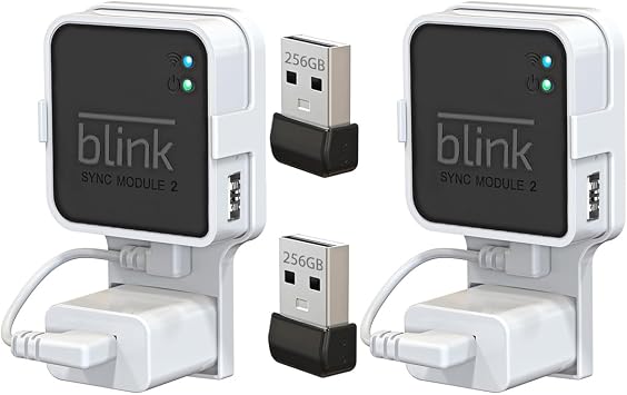 256GB USB Flash Drive with Outlet Mount Compatible with Blink Sync Module 2, Space-Saving Mount Bracket Holder for Blink Outdoor/Indoor Security System Sync Module 2 is NOT Included,2Pack