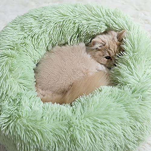 Panier pour chat coussin lit apaisant chien peluche grand modèle