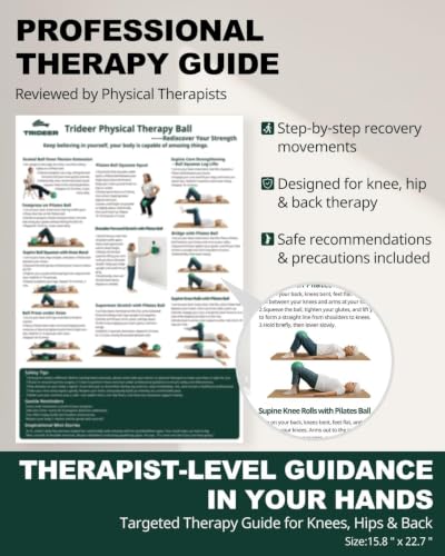 Image of Trideer Exercise Ball for Physical Therapy with Guide, 9 Inch Pilates Ball