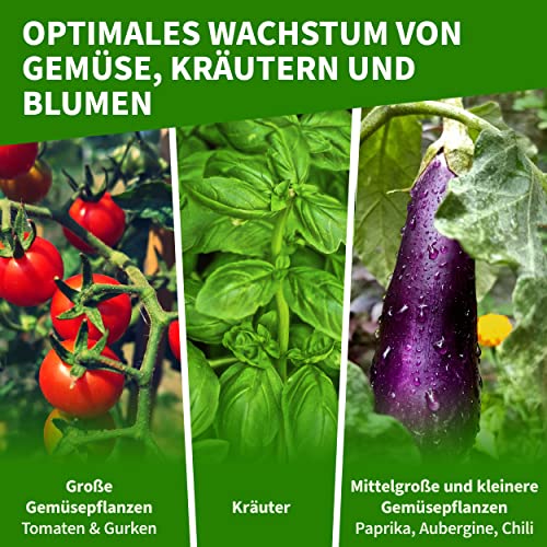 Oumefar Warmes Gewächshaus, 143 x 73 x 195 cm Tragbares Gartengewächshaus PVC Korrosionsbeständig Warmes Gewächshaus Blumenpflanzen Gartenarbeit im Freien Für Zimmerpflanzen 5 Oumefar Warmes Gewächshaus, 143 x 73 x 195 cm Tragbares Gartengewächshaus PVC Korrosionsbeständig Warmes Gewächshaus Blumenpflanzen Gartenarbeit im Freien Für Zimmerpflanzen – Bild 5