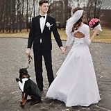 Hund Hochzeit Anzug, Smoking-Kostüme Formelle Party-Outfits Shirt Hund Kleidung Tuxedo Hundefliege Hochzeit mit Abnehmbarem Schleife Bandana für Kleine, Mittlere und Große Hunde(Schwarz, L)